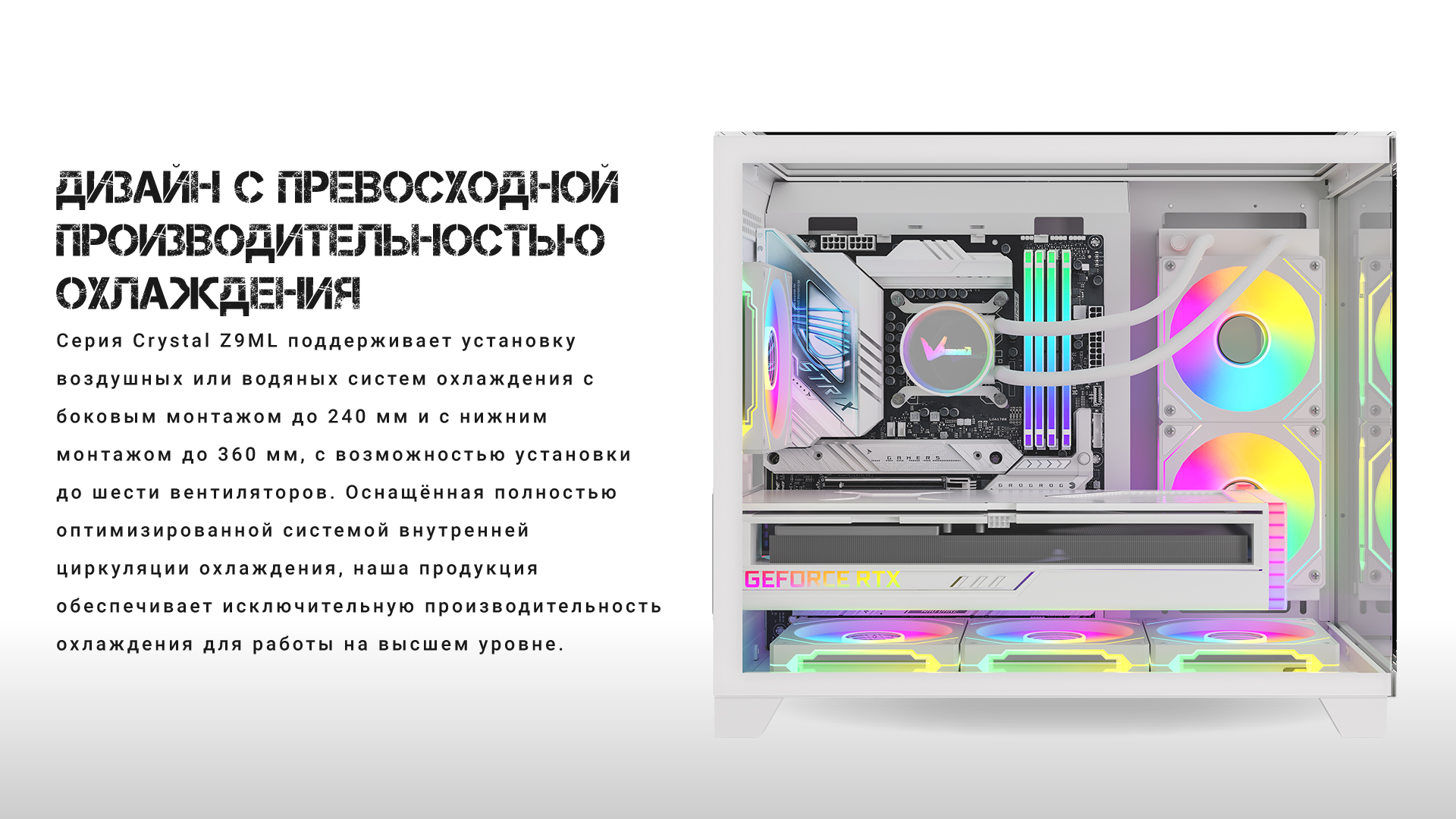 section-1